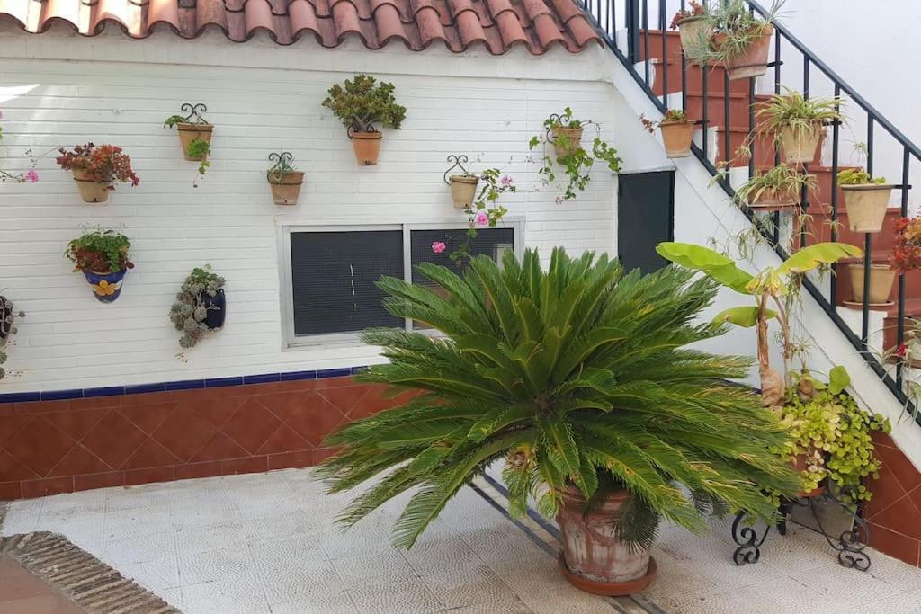 Sevilla A Tus Pies Mairena del Aljarafe Exterior photo